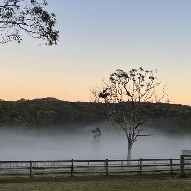 358374787 745986480660802 5232571881965235307 n