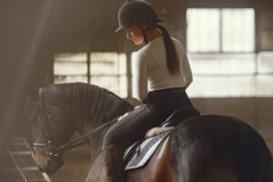 elegant girl farm wiith horse