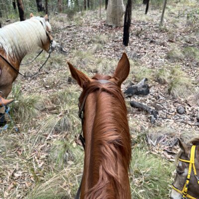 Crispin 8 Trail riding July 2023