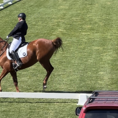 Crispin 10 Out last compt Sept 24 2023