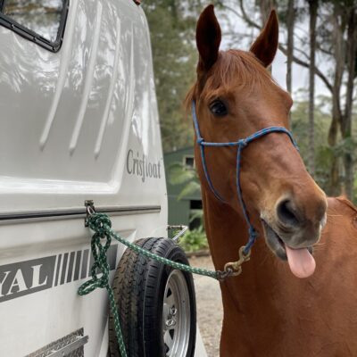 Crispin 12 Because I can