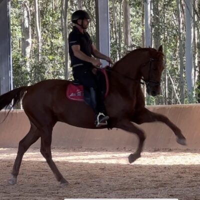 Crispin 14 Tantrum throwing