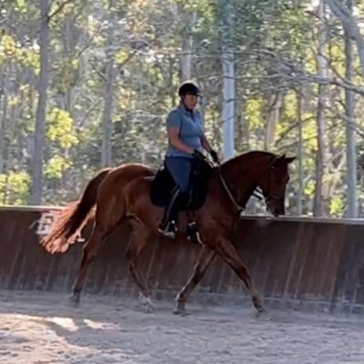 Crispin 15 June 2023